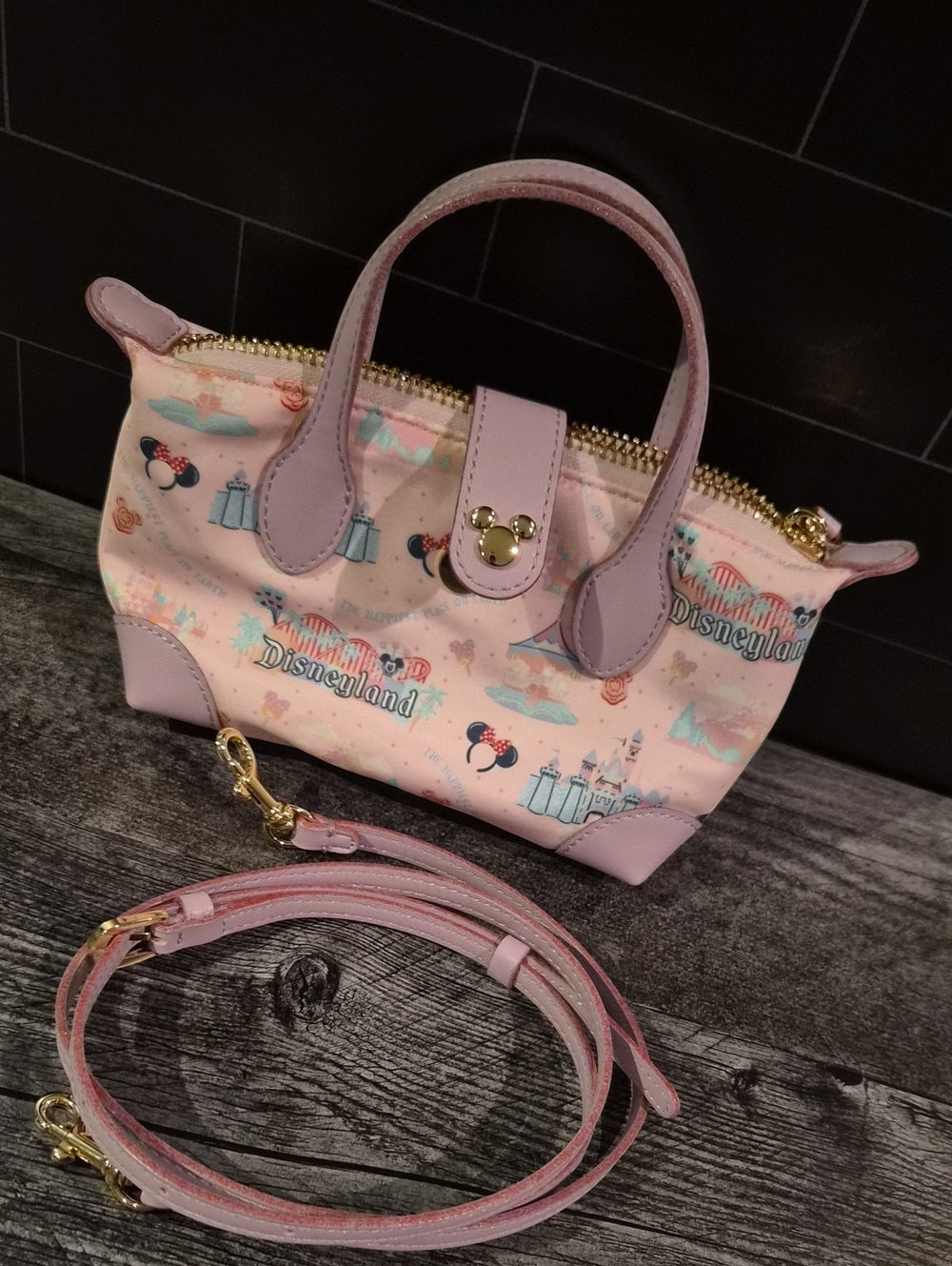 Disney x Stoney Clover Lane "The Happiest Place on Earth" Mini Tote - Picture 6 of 6